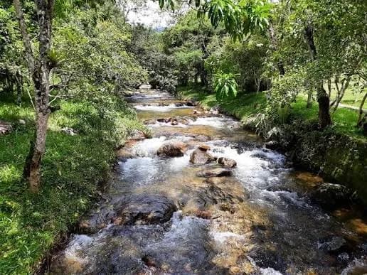 Rio de águas cristalinas na Fazenda Nova Gokula